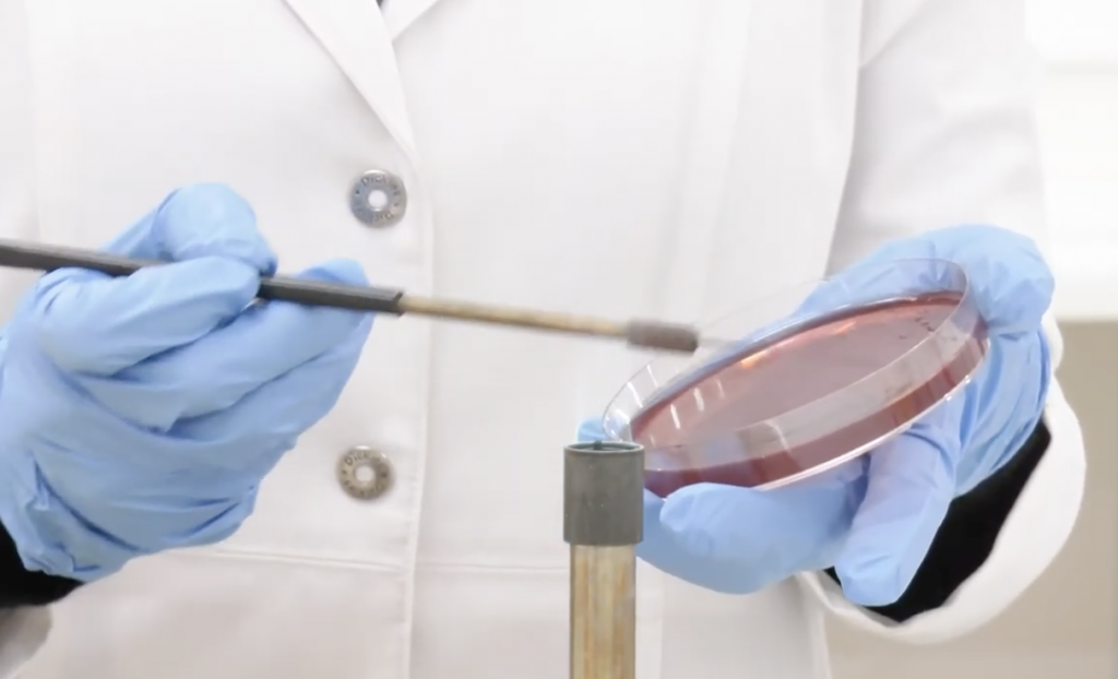Complemento a Microbiología General - Material propio de un laboratorio de Microbiología