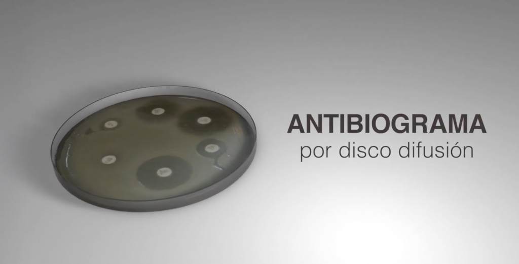 Antibiograma por disco difusión