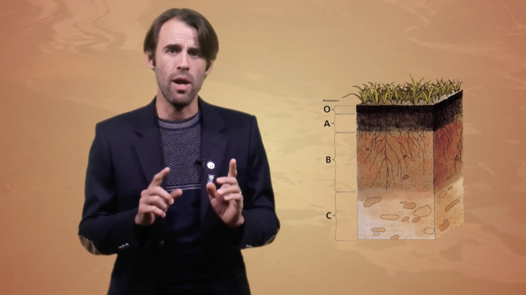 Edafología y conservación de suelo - Factores de desarrollo de un perfil del suelo